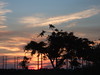 Above Us : Mostly sunsets and mood altering clouds